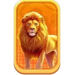 Lion
Safari